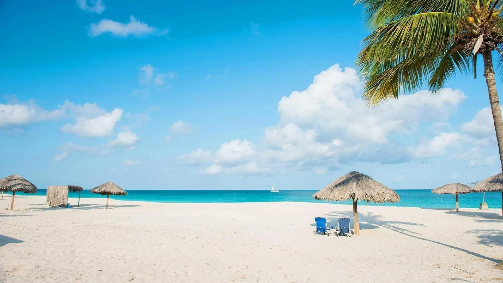 Beachfront - Flamingo Luxury 2Br Condo - E423 Palm Beach Сasa de vacaciones